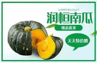哈爾濱潤(rùn)恒城精品菜 新鮮直供，最低0.4元/斤，盡享舌尖上的美味